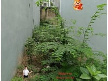 Hình ảnh Cho thuê lâu dài đất trống Nguyễn Hữu Cảnh, P22,Bình Thạnh,4x20m, 10tr
