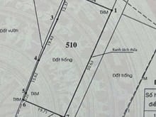 Hình ảnh Cần sang bán kho xưởng đất 1023m2, cụm KCN, Hiệp thành Quận 12