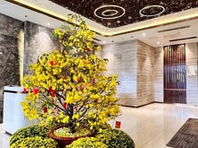 Hình ảnh Giỏ hàng hơn 100 căn chuyển nhượng Hà Đô Centrosa Quận 10