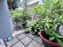 Hình ảnh bán nhà nguyễn trọng tuyển 10x20 giá 37 tỷ thương lượng