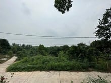 Hình ảnh Hot: Bán đất Phúc Triu cực rẻ tại Thành Phố Thái Di.ện t.ích 100m2