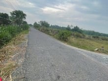 Hình ảnh Bán Đất Thổ Cư tại Cây Da Hiệp Thạnh, Gò Dầu , Tây Ninh