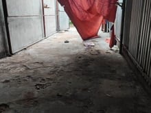 Hình ảnh Cần bán nhà tiền chế Phạm Văn Đồng, P.11, 4×16.5m, 10.5 tỷ