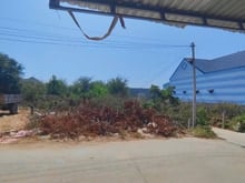 Hình ảnh Bán đất biển KDL Cổ Thạch, QH đường 29m