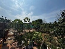 Hình ảnh Bán gấp biệt thự nhà vườn sát TP.HCM Nhơn Trạch GIÁ RẺ,SR CHÍNH CHỦ