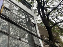 Hình ảnh Nhà mặt phố Nguyễn Văn Linh - Mặt đường Quốc Lộ 5 - Hàng phân khúc hiế