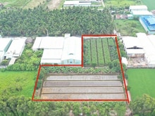 Hình ảnh Bán lô đất đường xe container Full thổ cư phù hợp làm kho bãi,xưởng…