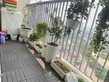 Hình ảnh Chung cư Ruby Garden, Nguyễn Sỹ Sách, P15, TB, 87m2, 2PN, 11tr/tháng.
