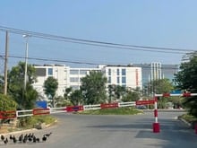 Hình ảnh Chính chủ cần bán gấp lô đất KDC 13A 105m -A11a ngay sát Tạ Quang Bửu