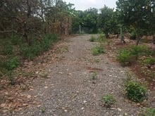 Hình ảnh 5300m2 giá 1,6 tỷ, Long Khánh, Đồng Nai