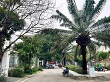 Hình ảnh Siêu Hiếm !!!  Biệt Thự Hồ bơi 450 m2, 2 lầu Ngay Lương Định Nhỉnh 1xx