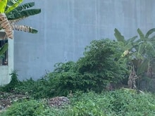 Hình ảnh Đất Lô Góc To 158m2 Giá 11 Tỷ Hơn Đường 339, Phước Long B, Thủ Đức