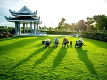 Hình ảnh Lựa chọn hôm nay – an tâm cho muôn đời sau