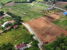 Hình ảnh Cắt lỗ bán 1292m2 giá 185tr gần KCN Tân Hưng, sát trường chợ