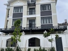 Hình ảnh Đường nhựa 12m sang trọng! Bán đất 6x20m Đặng Thùy Trâm, CTXD 5 Tầng