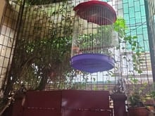Hình ảnh Chính Chủ Bán Nhà 3 Tầng Đẹp chân Có, 70m², 2 vỏ, View Hồ Sinh Thái, Ô