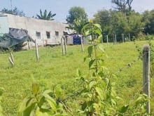Hình ảnh Bán 415m2 đất xã Phước Hiệp. Giá 2,6 tỷ