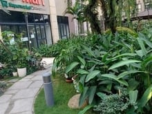 Hình ảnh Cho thuê mặt bằng C1 Imperia An Phú – quận 2