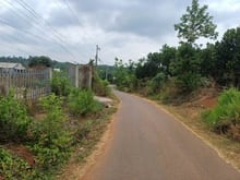 Hình ảnh Bán Đất Nông Nghiệp , Xã Lâm San, Huyện Cẩm Mỹ, Tỉnh Đổng Nai
