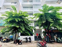 Hình ảnh Rẻ nhất trong phân khúc 100 tỷ - tòa nhà 2 MT Phan Đăng Lưu - 12 x 20m