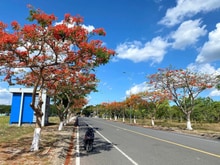 Hình ảnh Nhà kdc Bason Hưng Phúc Đông Tăng Long , quận 9