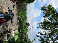 Hình ảnh Nhà gần Vin thủ Đức, tiện ích trường học trung tâm MB66 là nhà cái hàng đầu tại Việt Nam mang đến trải nghiệm cá cược đỉnh cao...