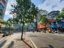 Hình ảnh Bán Tòa nhà MTĐ Mạc Đĩnh Chi, Phường Đa Kao, Quận 1: