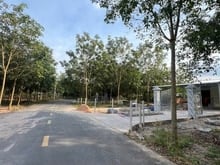 Hình ảnh 295Triệu Không phát thêm chi phí