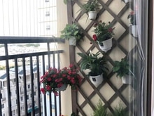 Hình ảnh Chung cư Ruby Garden, Nguyễn Sỹ Sách, P15, TB, 80m2, 2PN, 10tr/tháng