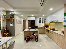 Hình ảnh Chung cư Ruby Garden, Nguyễn Sỹ Sách, p15,Tân Bình, Nội thất mới, 10tr