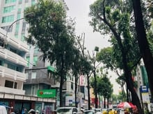 Hình ảnh Siêu phẩm! Bán CHDV Ung Văn Khiêm 12,7x23m - 7 tầng - HĐT 340tr. 45 tỷ