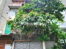 Hình ảnh Bán nhà Hai Bà Trưng, Q. 3, HCM, 106m2 đất, ngang 5m, 4 tầng