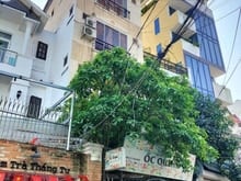 Hình ảnh Bán nhà MT Hoàng Văn Thụ, Phú Nhuận. 12mx28m. Hầm 5 tầng. HĐT 250triệu
