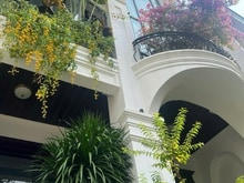 Hình ảnh Bán gấp Nhà mặt tiền, trung tâm khu K300, Cộng Hòa.8x20.5, Hầm 5 Tầng