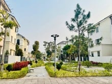 Hình ảnh Bán Gấp Biệt thự 135m2 Centa city- Từ Sơn- Bắc Ninh Giá Rẻ Nhất