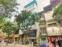 Hình ảnh ❗Mặt bằng phố ĐỘI CẤN - BA ĐÌNH.