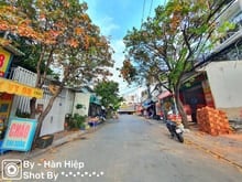 Hình ảnh Bán Nhà 4 tầng MT Đường 339, Phước Long B Quận 9.Thu nhập 60tr/tháng