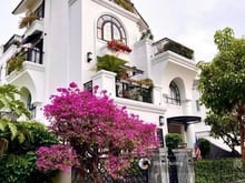 Hình ảnh Bán biệt thự Sư Vạn Hạnh, P12, Q10. Dt: 10x20m hầm 4 lầu, thuê 90tr/th