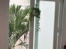 Hình ảnh CHDV full nội thất giá rẻ quận 1