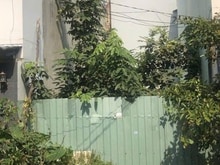 Hình ảnh Rần Rần ! Miếng Đất MT Đường Số 24 P11 Q6, View Park (4x24) Chỉ 12 Tỷ
