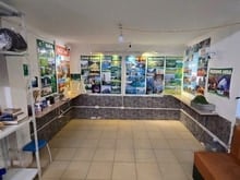 Hình ảnh Cho Thuê Tầng Bán Hầm Phan Đình Phùng – KD Mọi Mô Hình, Không Bar