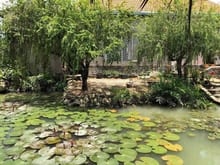 Hình ảnh Đất mặt tiền nhà vườn Đại Phước Nhơn Trạch giá rẻ,gần sông, chính chủ