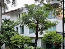 Hình ảnh Bán Biệt Thự Villas Riviera Keppleland Giang Văn Minh 287m2 giá 119 tỷ