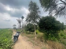 Hình ảnh Bán Nhanh Mặt Tiền 171, Rạch Thi Đua, Đường Xe Tải.