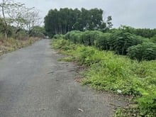 Hình ảnh Bán GẤP trong tuần đất nhà vườn Long Thọ Nhơn Trạch,giá rẻ, SR 9 chủ