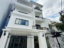 Hình ảnh SIÊU PHẨM NHÀ BIỆT THỰ KHU MIẾU NỔI 118M Phan Xích Long Hơn 500m2 SD