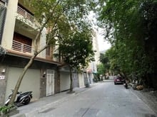 Hình ảnh Nhà vườn đẳng cấp, riêng biệt Tam Trinh,  gara ô tô, ở ngay giá 32 tỷ