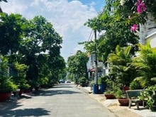 Hình ảnh Đất bán 3 lô liền kề 3,2 tỷ/lô siêu hiếm tại thị trường TĐC Bửu Long