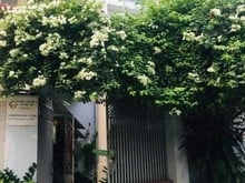 Hình ảnh Bán nhà biệt thự rẻ 3 lầu đẹp (6x18) 434/76 Phạm Văn Chiêu p9 Gò Vấp