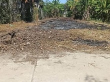 Hình ảnh DD37 Bán đất hẻm oto thôn Đông 2 xã Diên Điền cách T.p Nha trang 3.7km